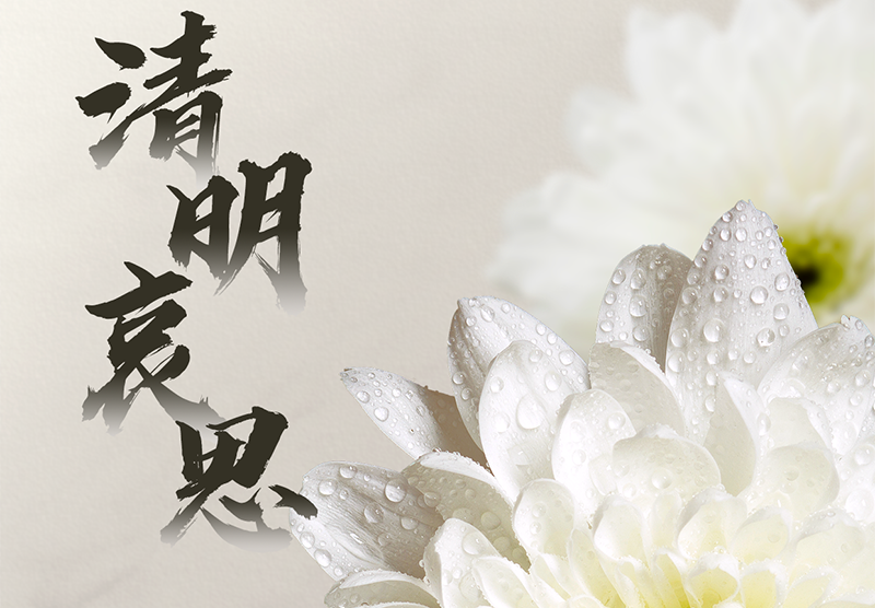 南粤装饰 | 今日清明，祝君安康