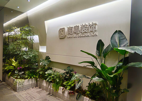 广州办公室绿植怎么选怎么摆？这4个细节做对了，空间气质提升不止一个档次